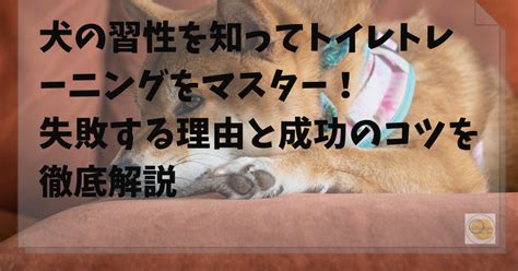 犬の習性を知ることが第一歩