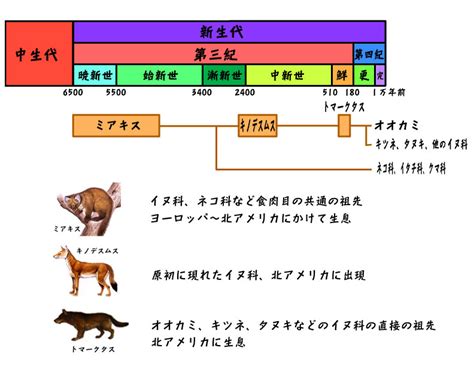 犬の起源