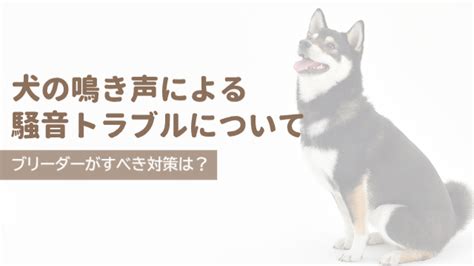 犬の鳴き声による危険を理解し、安全対策を講じよう