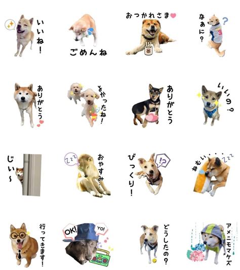 犬のLINEスタンプ完全ガイド：キュートから個性派まで、あなたにぴったりのスタンプを見つけよう