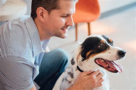 犬への利点: