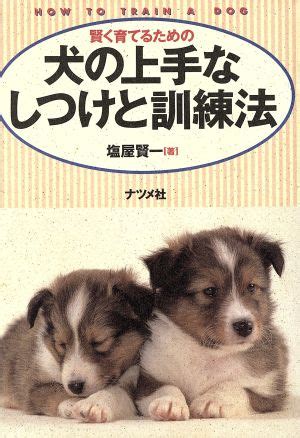 犬を賢く育てる: 効果的なハウス トレーニングの完全ガイド