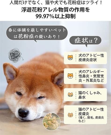 犬アレルギーの症状とは？