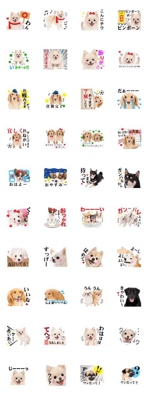 犬スタンプ人気の秘密