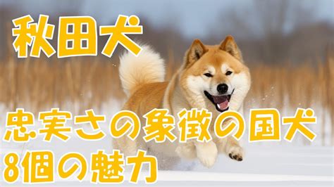 犬年は、忠実さ、従順さ、縁起の良さ