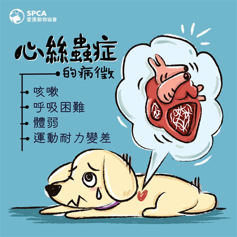 犬心絲蟲症的嚴重威脅