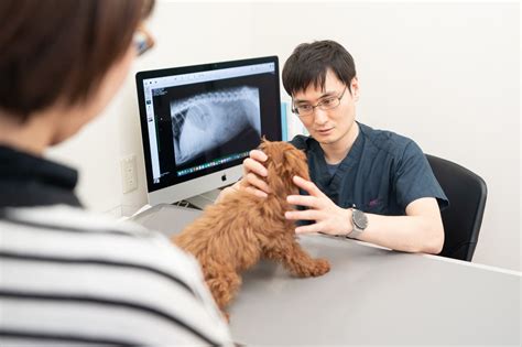 犬猫の健康を守る！やすだ動物病院でできること