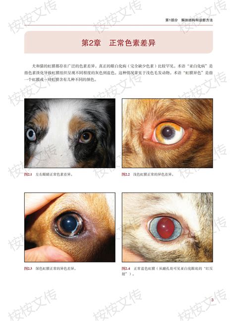 犬猫眼部健康不容忽视