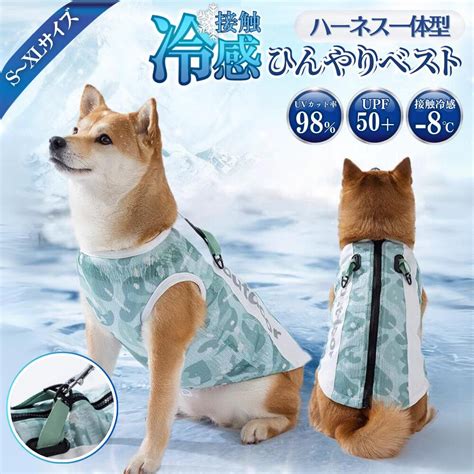 犬用ひんやりグッズで暑い夏を快適に過ごそう！