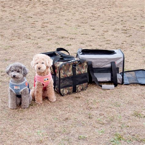 犬用キャリーバッグの重要性