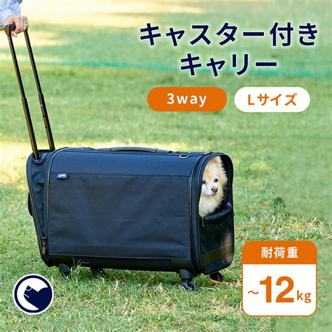 犬用キャリーバッグ：愛犬との快適で安全な旅のすべて