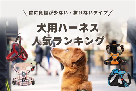 犬用ハーネスの選び方のポイント