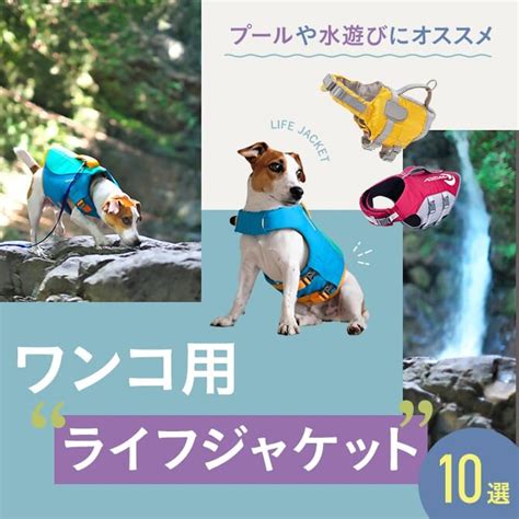 犬用ライフジャケットの決定版ガイド