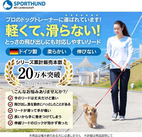 犬用リードの選び方と使い方のガイド