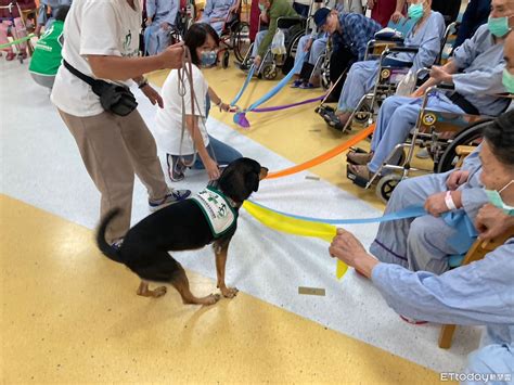 犬科動物輔助治療：