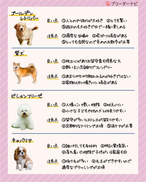 犬種の保存と改善：