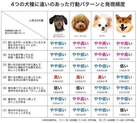 犬種の違い