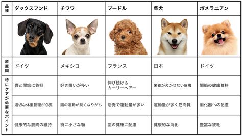 犬種の違い：犬種ごとの特徴、性格、飼い方