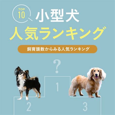 犬種や大きさの制限