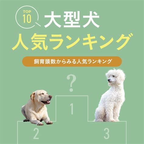 犬種を選ぶ際の検討事項