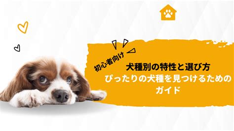 犬種選びの重要性