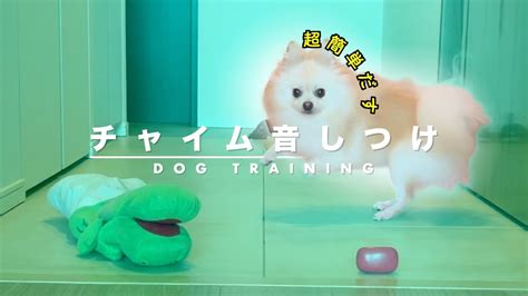 犬 チャイム 吠える