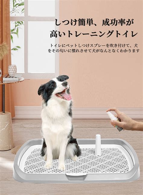 犬 トイレ ポール