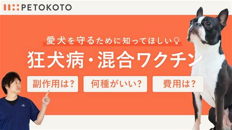 狂犬病ワクチン: 頻度と効果