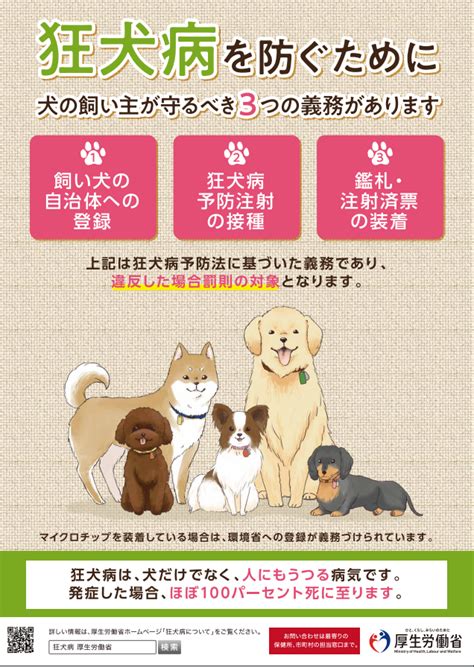 狂犬病ワクチン接種頻度に関する包括的ガイド