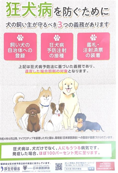 狂犬病ワクチン接種頻度：飼い主が知るべき重要な情報