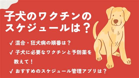 狂犬病予防接種と混合ワクチン接種が済んでいること。