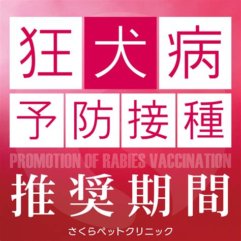 狂犬病予防接種における推奨接種頻度