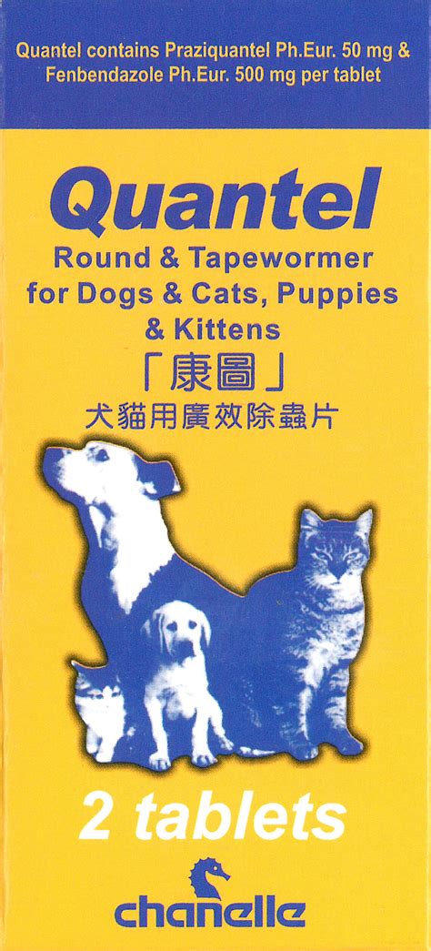 狗杜蟲藥10000字大全：徹底解析杜絕寄生蟲的終極指南