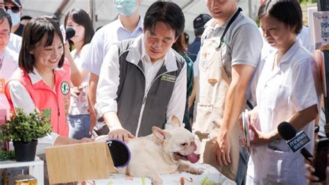 狗狗幫：寵物產業的崛起與創新潛力