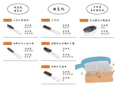 狗狗的最佳選擇：乾狗零食的完整指南