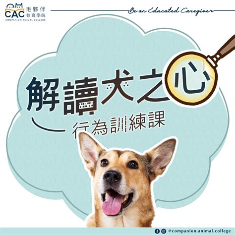 狗狗的樂園：深入淺出解讀犬類行為與健康