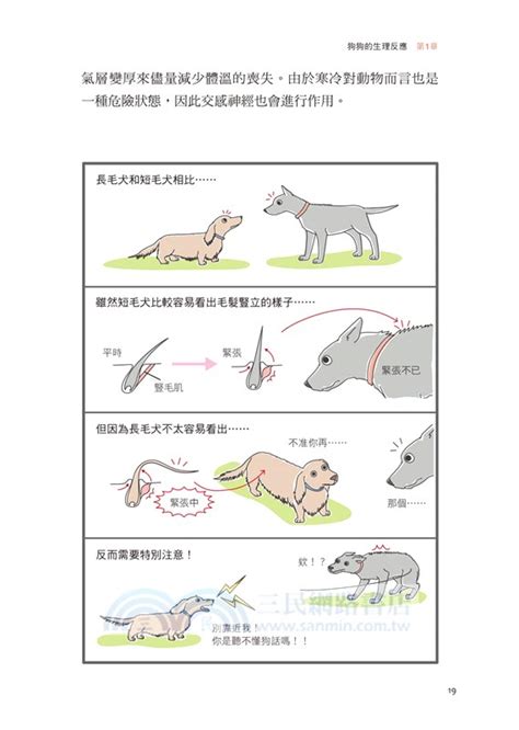 狗狗萬事通：深入了解狗狗的行為、需求與飼養秘訣