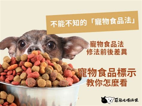 狗糧上癮症：寵物與飼主的危機