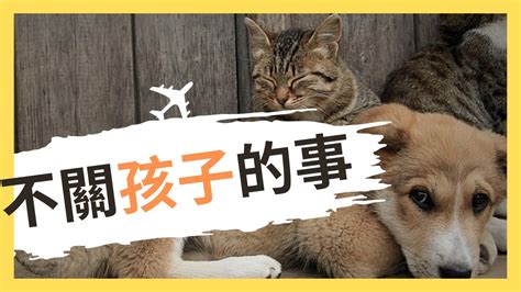 狗糧上癮：寵物飼主的無聲危機