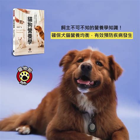 狗糧上癮：毛孩健康隱憂，飼主不可不知！