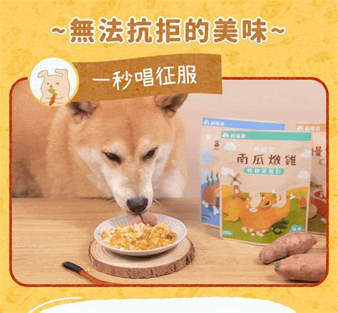 狗糧：寵物食品產業的黃金寶藏