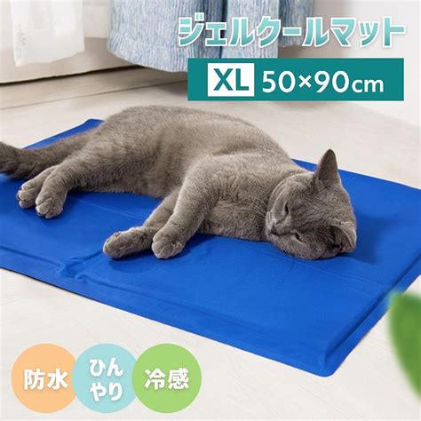 猛暑の夏にも快適に過ごせるひんやりペットマット