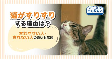 猫がすりすりする理由