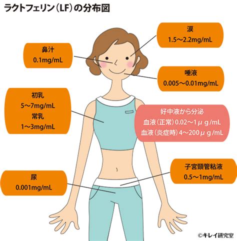 猫たちの健康を守る強い味方！ラクトフェリンを徹底解明