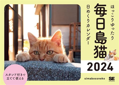 猫だらけカレンダーで毎日がハッピー！