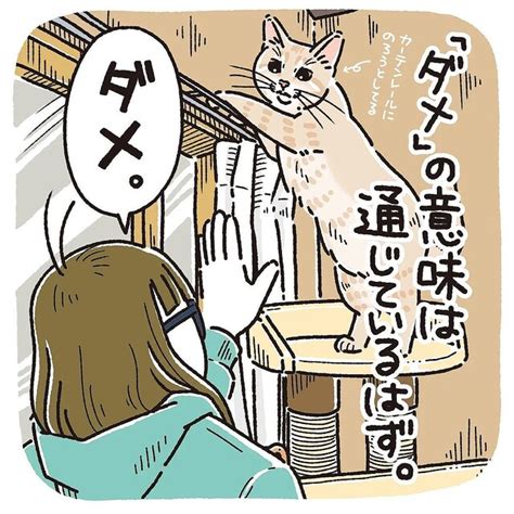 猫とパンツ、その魅惑的な関係