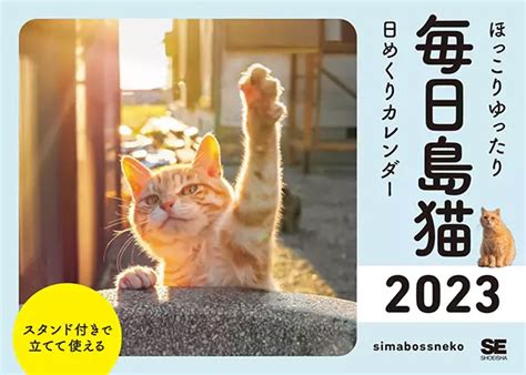 猫と一緒に過ごすハッピーライフ！2023年カレンダーで猫の毎日の様子を確認