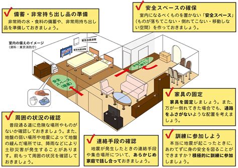 猫と地震：命を守るための備えと対応