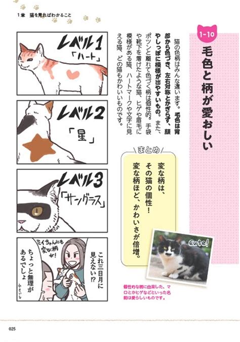 猫と幸せに暮らすための完全ガイド