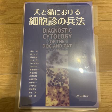 猫における酸化マグネシウムの使用に関する包括的ガイド